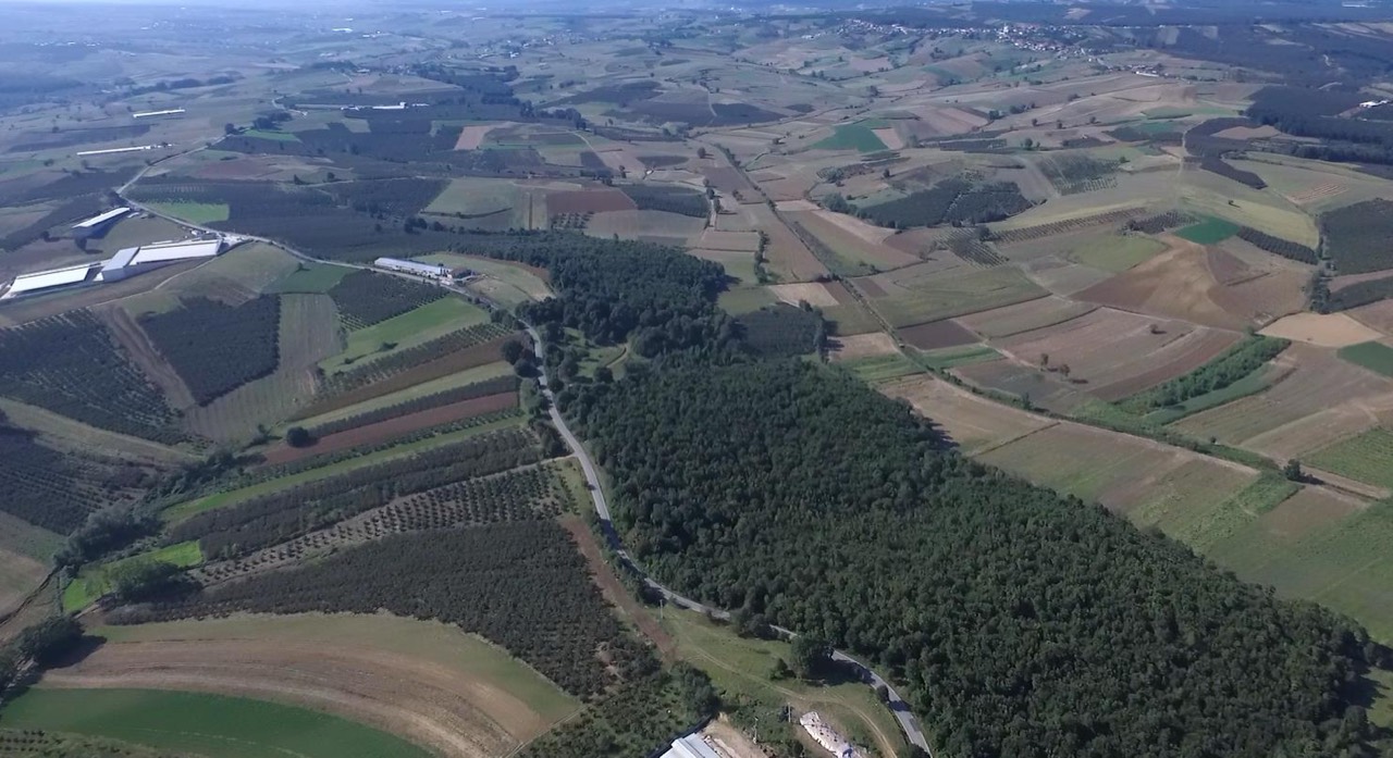 Somi OSB sahasının havadan görünümü: ormanlık alan ve yol boyunca uzanan araziler